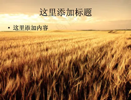 收获的季节PPT模板范文素材风景...