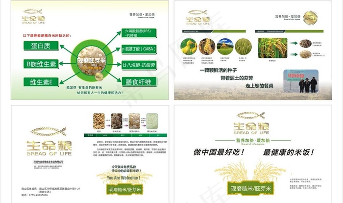 生命粮海报图片cdr矢量模版下载