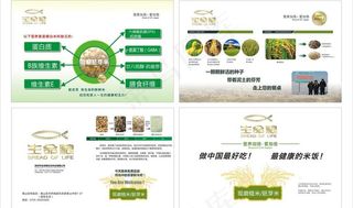 生命粮海报图片