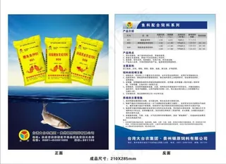 鱼饲料DM单页饲料厂宣传资料