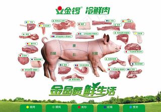 金锣冷鲜肉宣传海报PSD