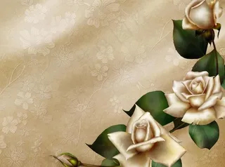 娇艳玫瑰花psd分层素材模板图片