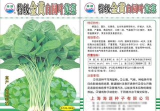 特级金黄白圆叶苋菜图片