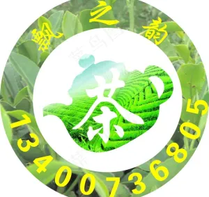铁观音图片