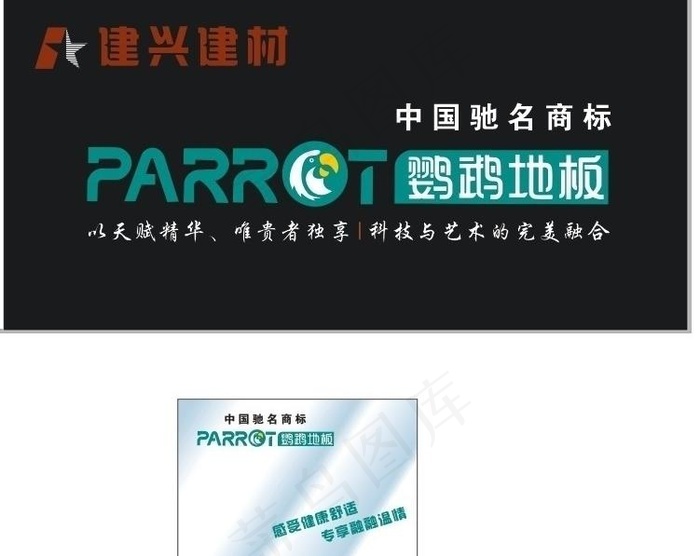鹦鹉地板图片