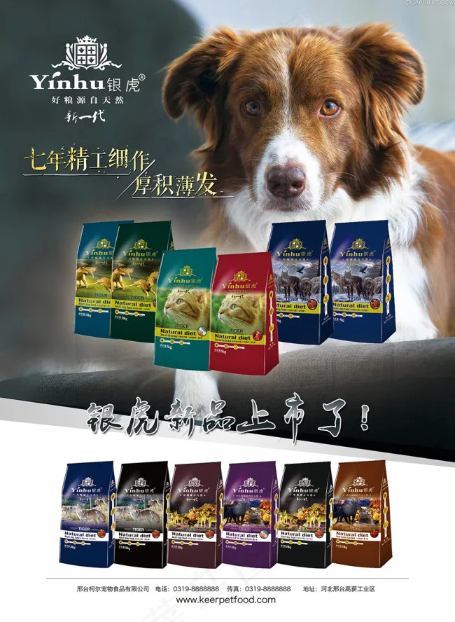 犬粮产品广告 2(2516X3437(DPI:300))psd模版下载