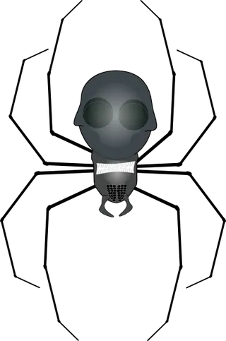 蜘蛛的剪辑艺术