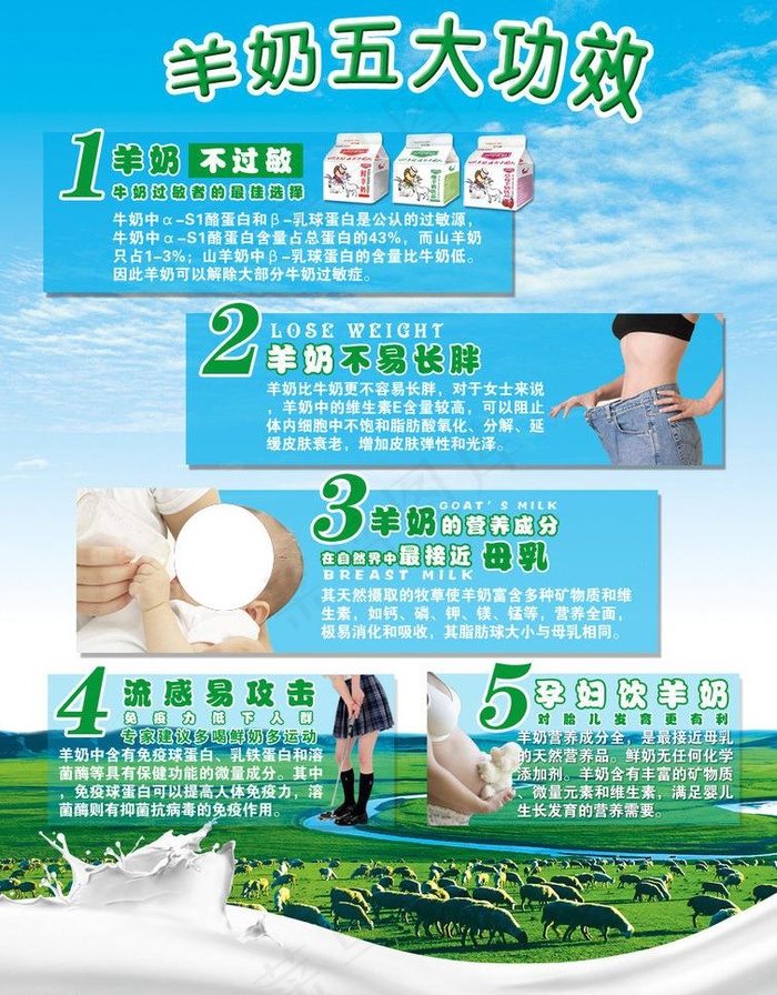 山羊奶宣传单图片psd模版下载
