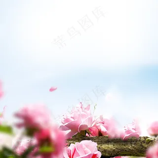 淘宝化妆品护肤品面膜背景