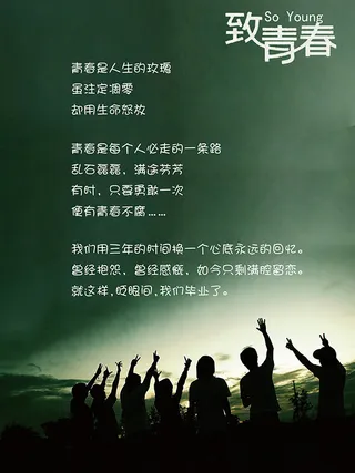 致青春语录海报
