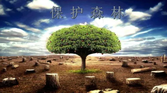 橘色橙色实景风PPT模板