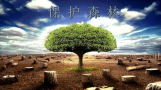 橘色橙色实景风PPT模板