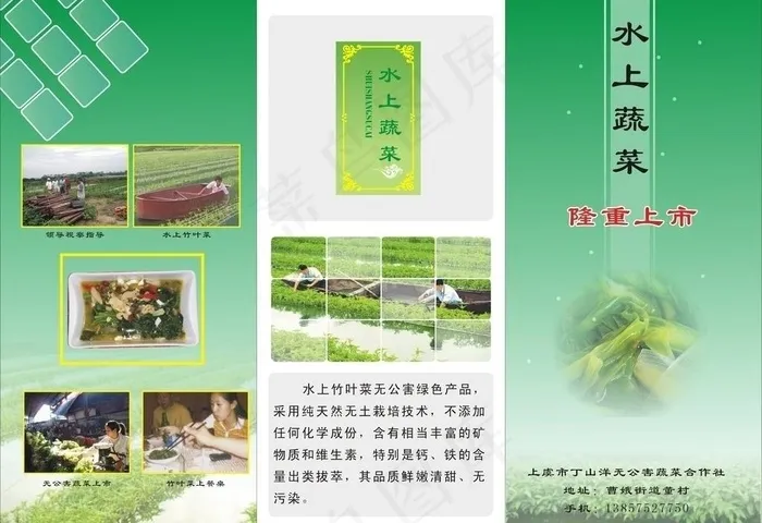 dm单3折页图片cdr矢量模版下载