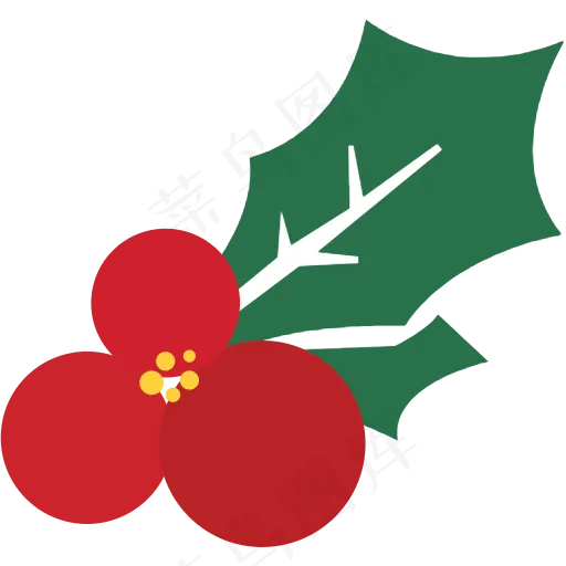 浆果 圣诞节 装饰 节日 槲寄生