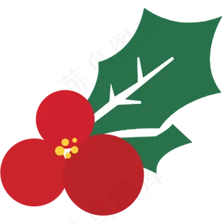 浆果 圣诞节 装饰 节日 槲寄生