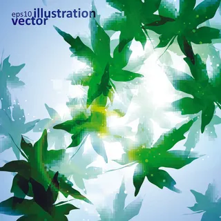 唯美枫叶矢量素材图