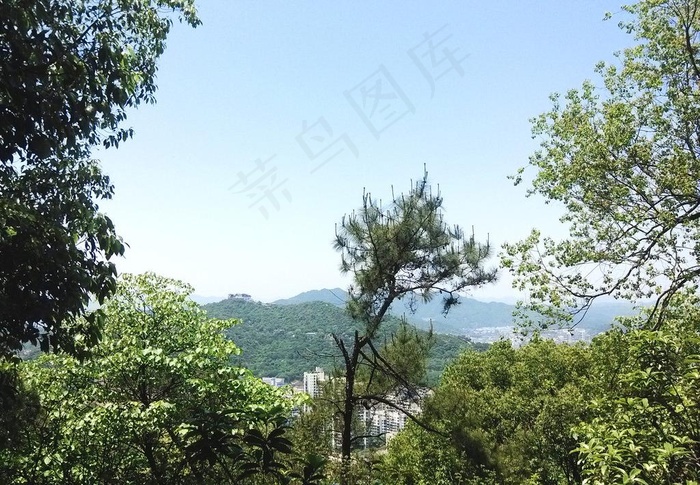 温州 景山公园图片