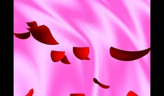 婚礼视频素材图片