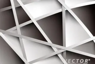 研究背景04矢量