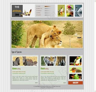 国外动物园创意网站模板