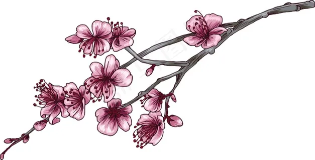 矢量发展分公司