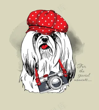 小狗插画图案素材