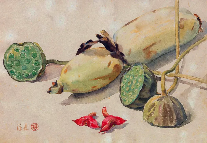 静物莲藕图片