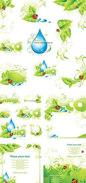 绿叶瓢虫水滴花边背景矢量素材图片