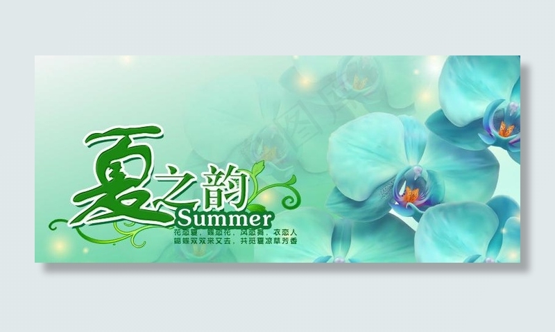 夏之韵图片