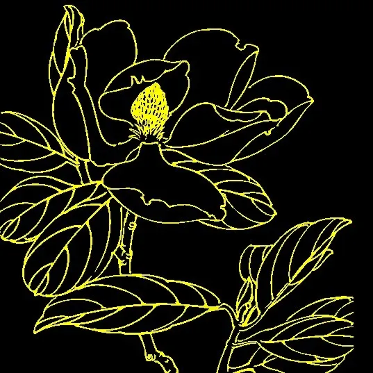白描花卉 矢量CDR_07cdr矢量模版下载