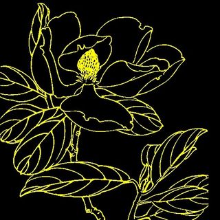 白描花卉 矢量CDR_07