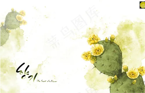 韩国素材绿叶植物PSD