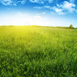 {唯美风景}高清图片