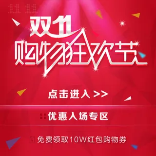 双11购物狂欢节