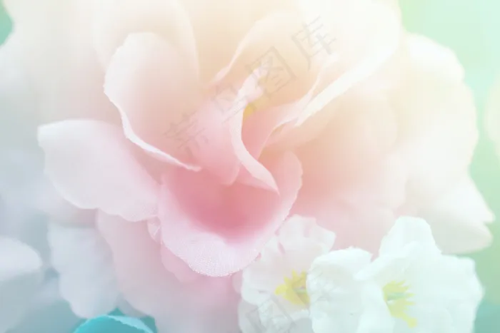 玫瑰花花瓣高清图片背景
