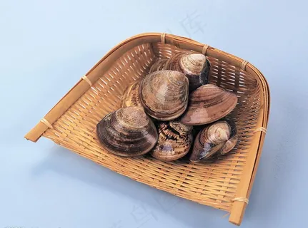 海鲜水产51图片