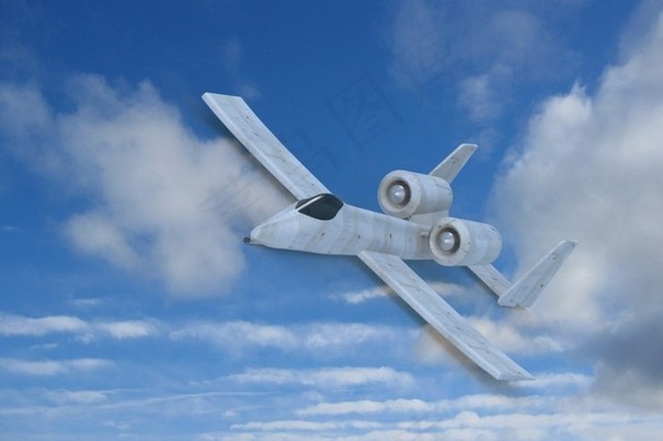 A-10疣猪