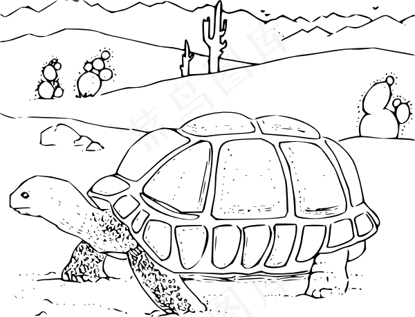 着色书沙漠龟的剪贴画