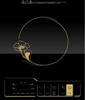 电磁炉图片 电磁炉图片