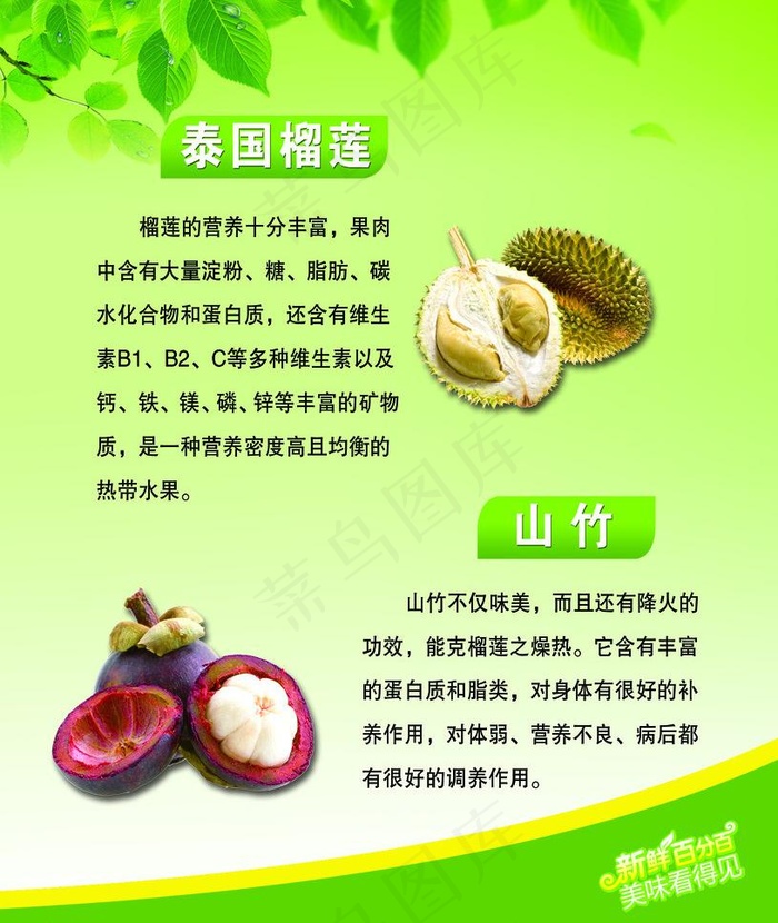水果简介图片