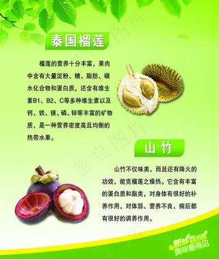 水果简介图片