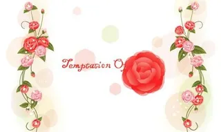 韩国植物装饰边框矢量图17