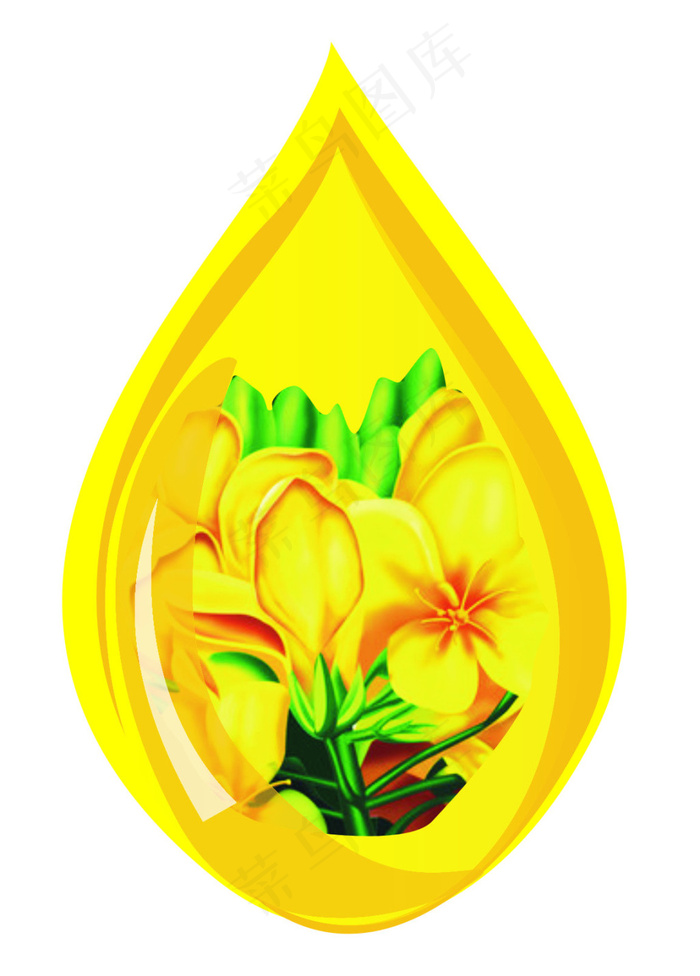 油滴菜籽(210X297)cdr矢量模版下载