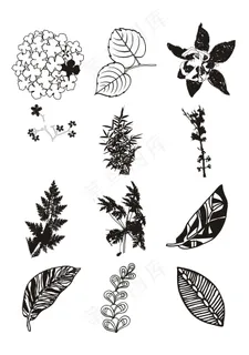 植物花卉简笔画 植物花卉简笔画