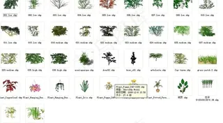 sketchup3d植物图片