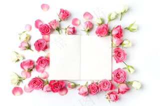 粉色玫瑰花静物设计素材