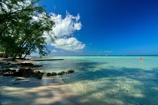 清澈海水的海滩图片