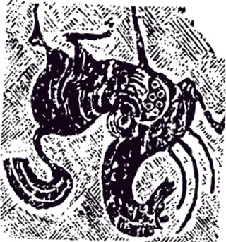 动物 神兽拓印 AI