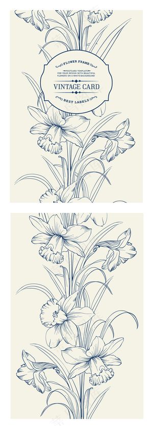 蓝色睡会花卉植物边框卡片矢量素材