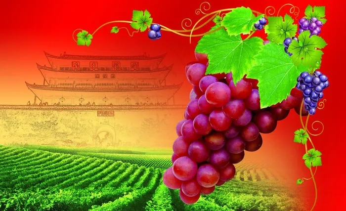 包装 葡萄包装 红提包装图片